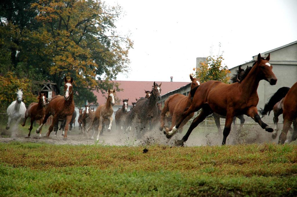 Palac Racot Kościan Buitenkant foto